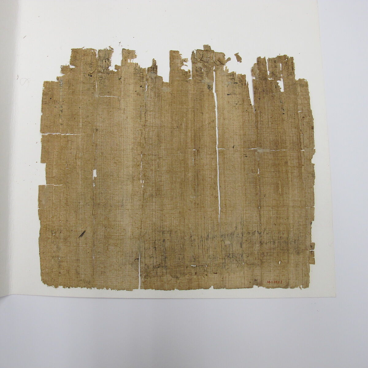 Papyrus sheet, Papyrus