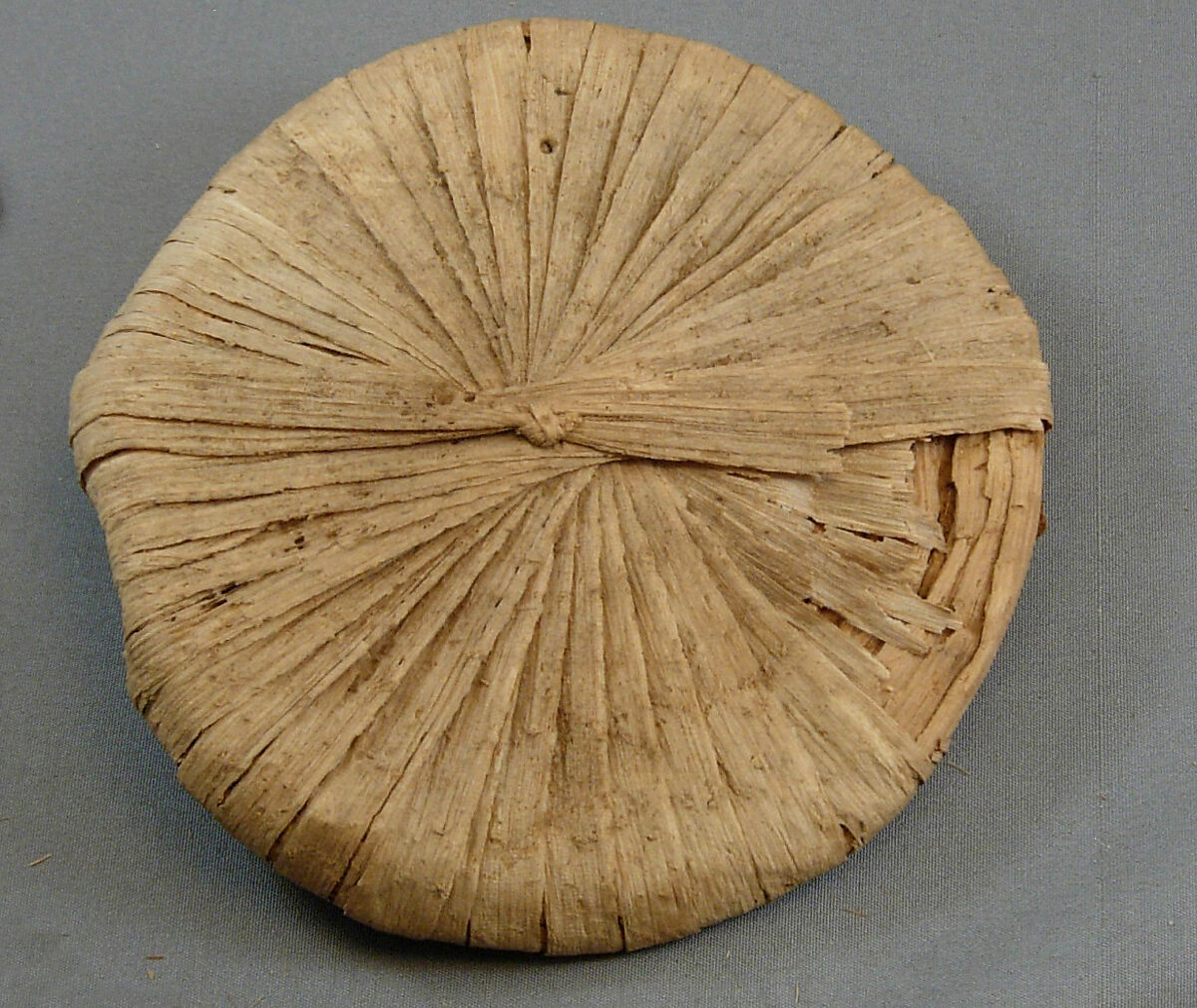 Papyrus Lid, Papyrus fiber 