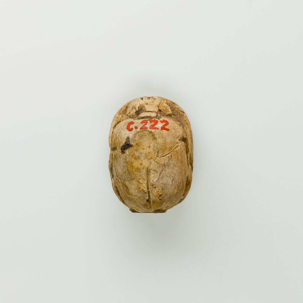 Scarab of Ramesses II, Steatite