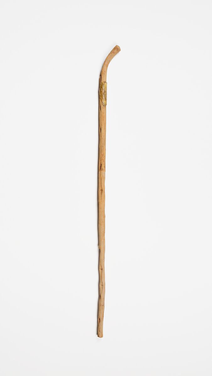 Walking stick, Wood (Tamarix sp.)