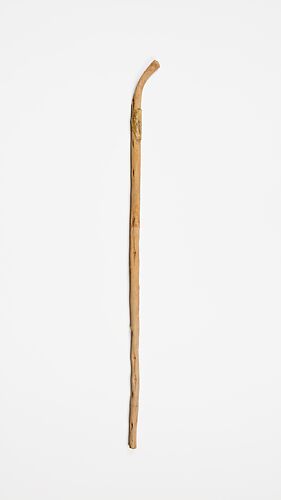 Walking stick