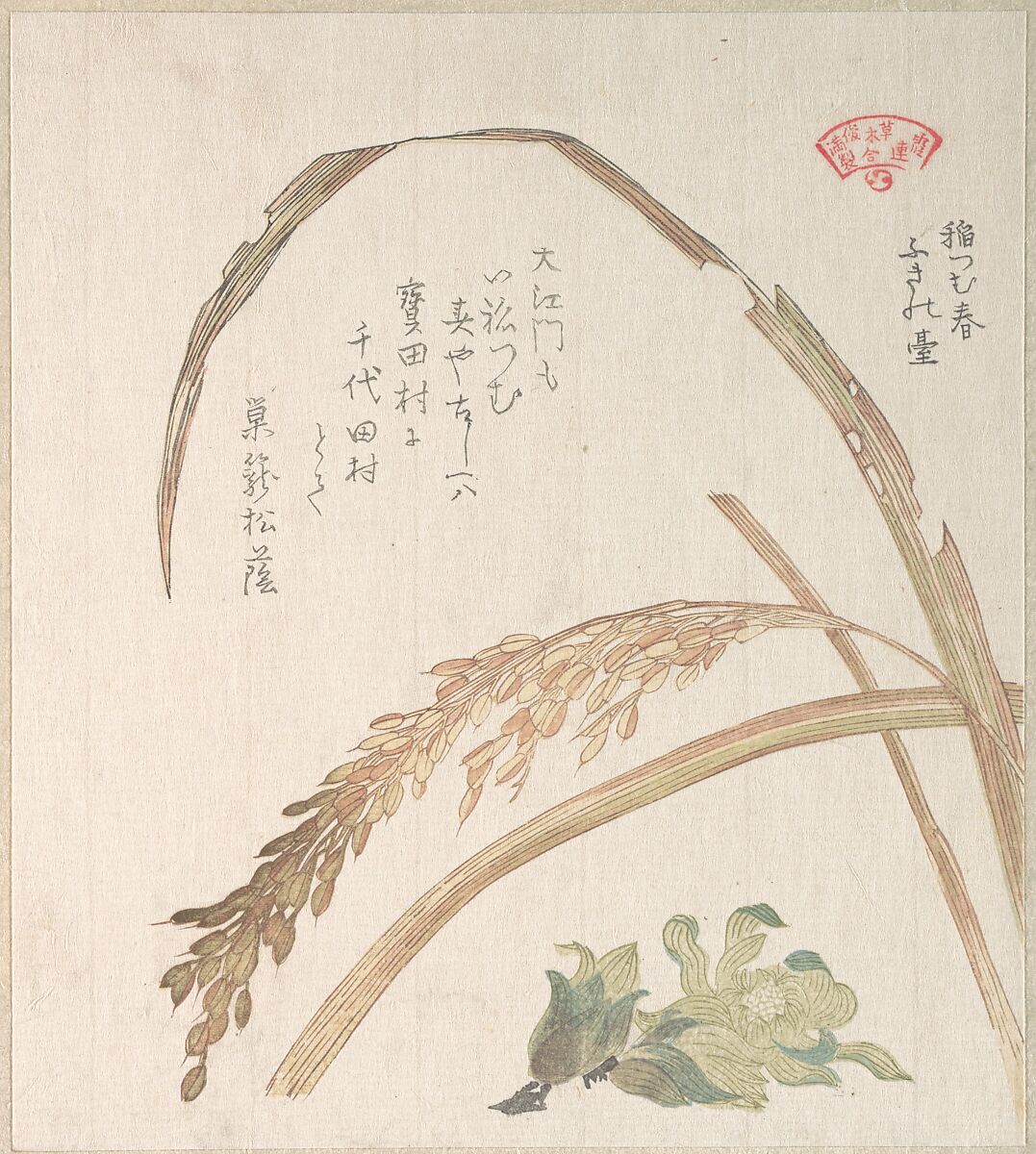 Rice Plant and Butter-Burs, Kubo Shunman (Japanese, 1757–1820) (?), Woodblock print (surimono); ink and color on paper, Japan 
