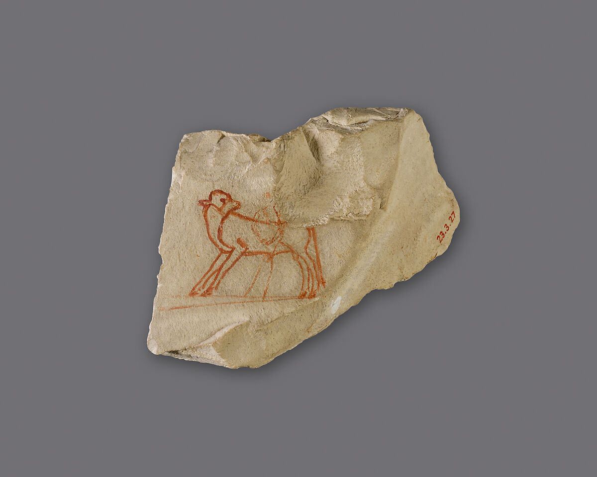 Ostracon with sketch of a calf, Limestone, ink 