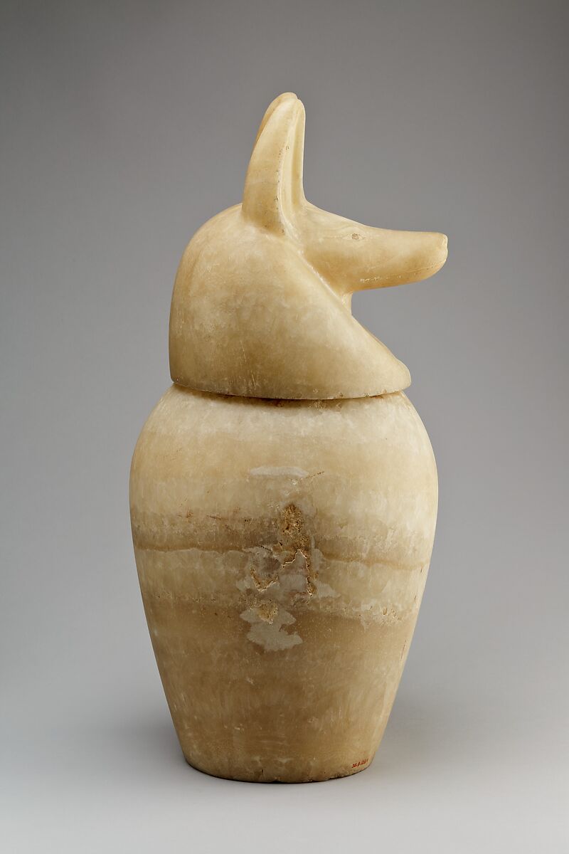 Canopic jar with a jackal-headed lid, Travertine (Egyptian alabaster)