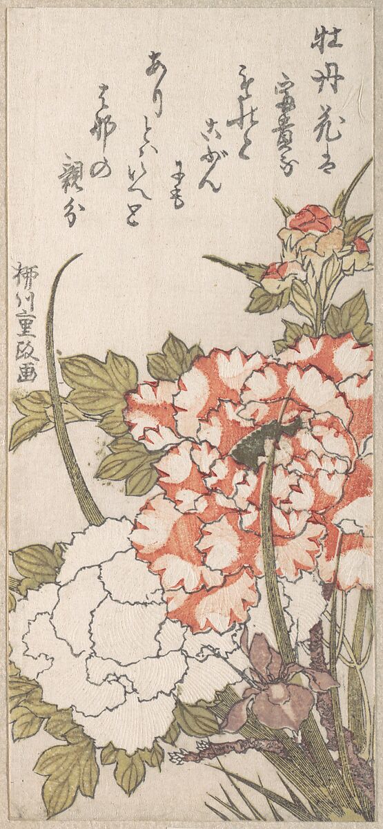 Peonies and Iris, Yanagawa Shigemasa (Japanese, 18th–19th century), Woodblock print (surimono); ink and color on paper, Japan 