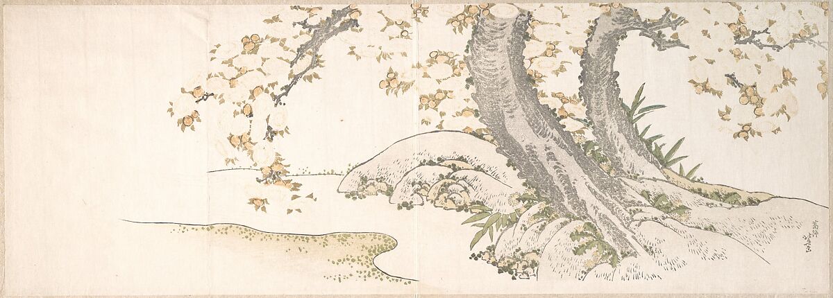 Blossoming Cherry Trees by a Stream, Katsushika Hokusai (Japanese, Tokyo (Edo) 1760–1849 Tokyo (Edo)), Woodblock print (surimono); ink and color on paper, Japan 