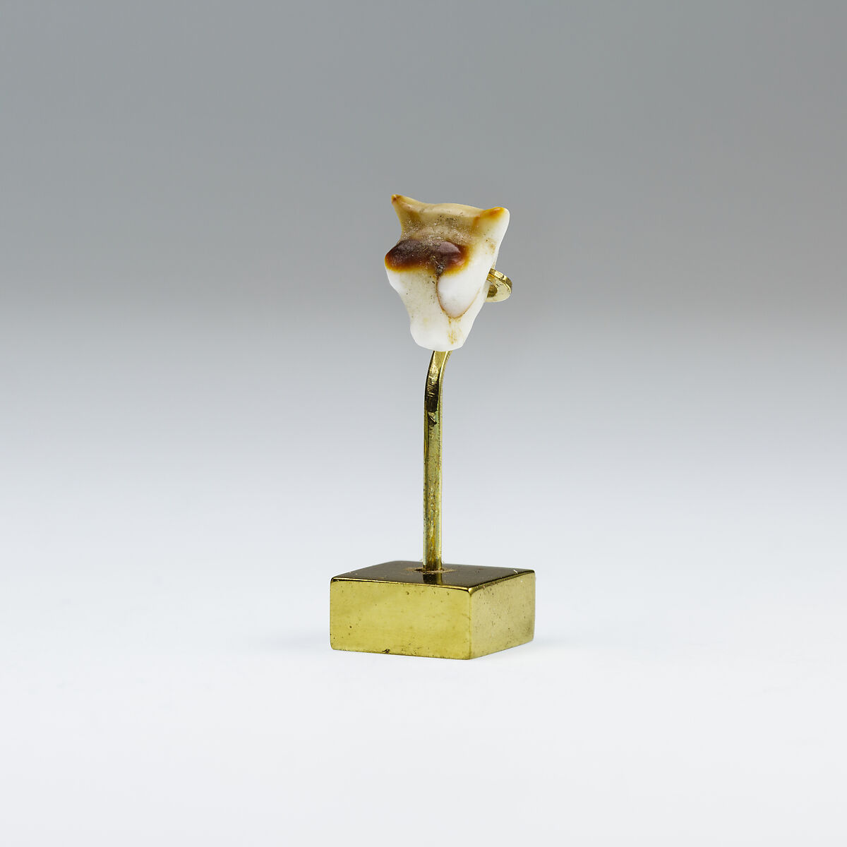 Calf's Head Amulet, Agate