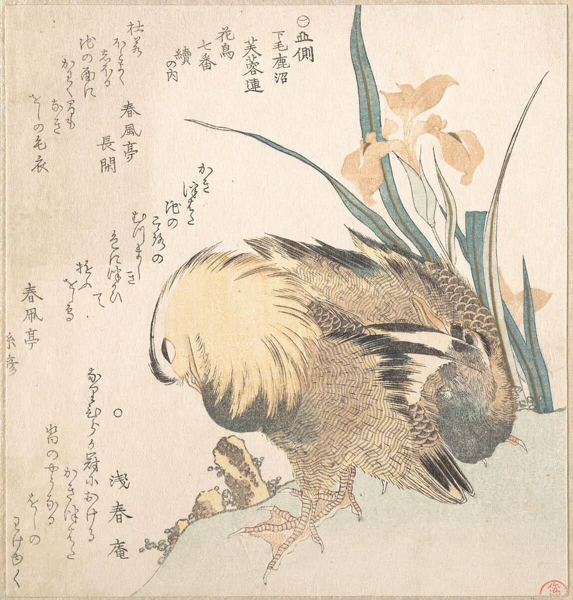 Pair of Mandarin Ducks and Iris Flowers, Kubo Shunman (Japanese, 1757–1820), Woodblock print (surimono); ink and color on paper, Japan 