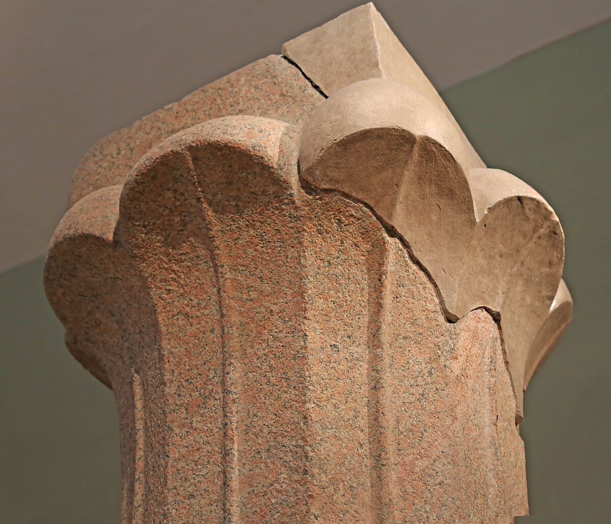 Fragments of a Palm Column, Granite