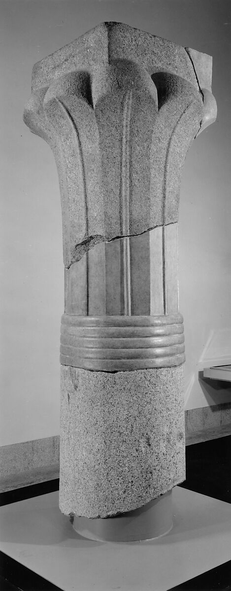 Fragments of a Palm Column, Granite