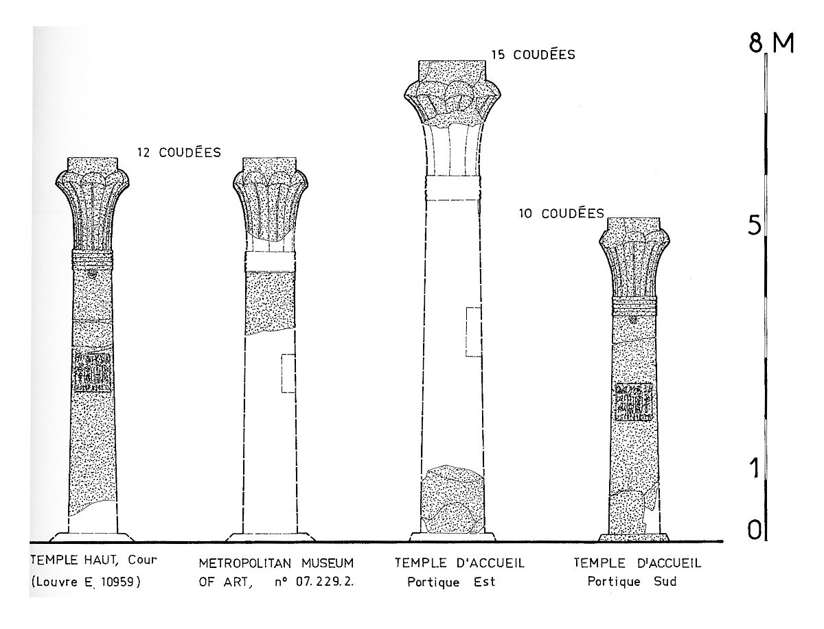 Fragments of a Palm Column, Granite