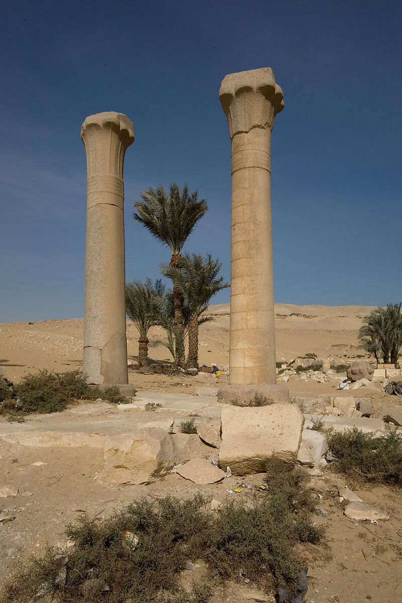 Fragments of a Palm Column, Granite