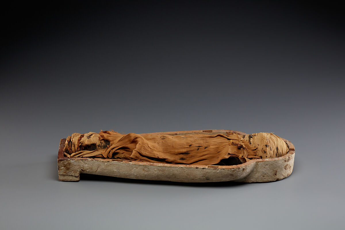 Falcon-form case containing a corn mummy, Painted gessoed wood; mummy: linen, resin, fiber
