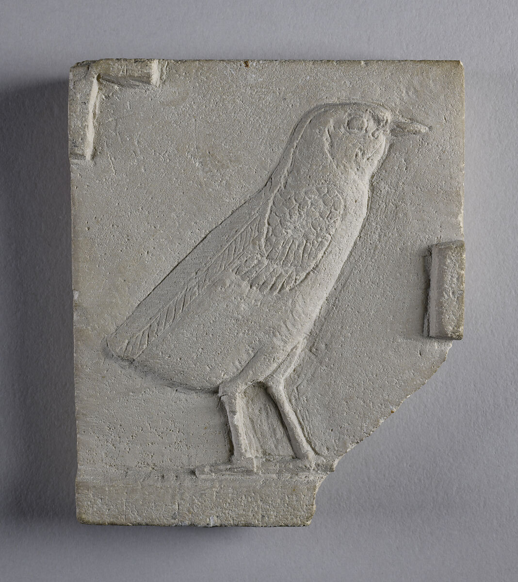 Relief of quail chick, preliminary sketch opposite side, Limestone