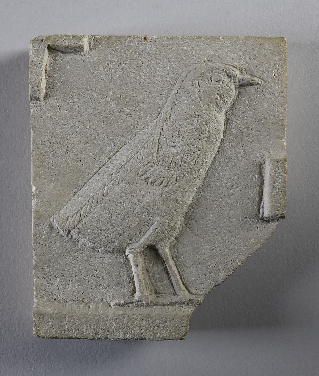 Relief of quail chick, preliminary sketch opposite side, Limestone