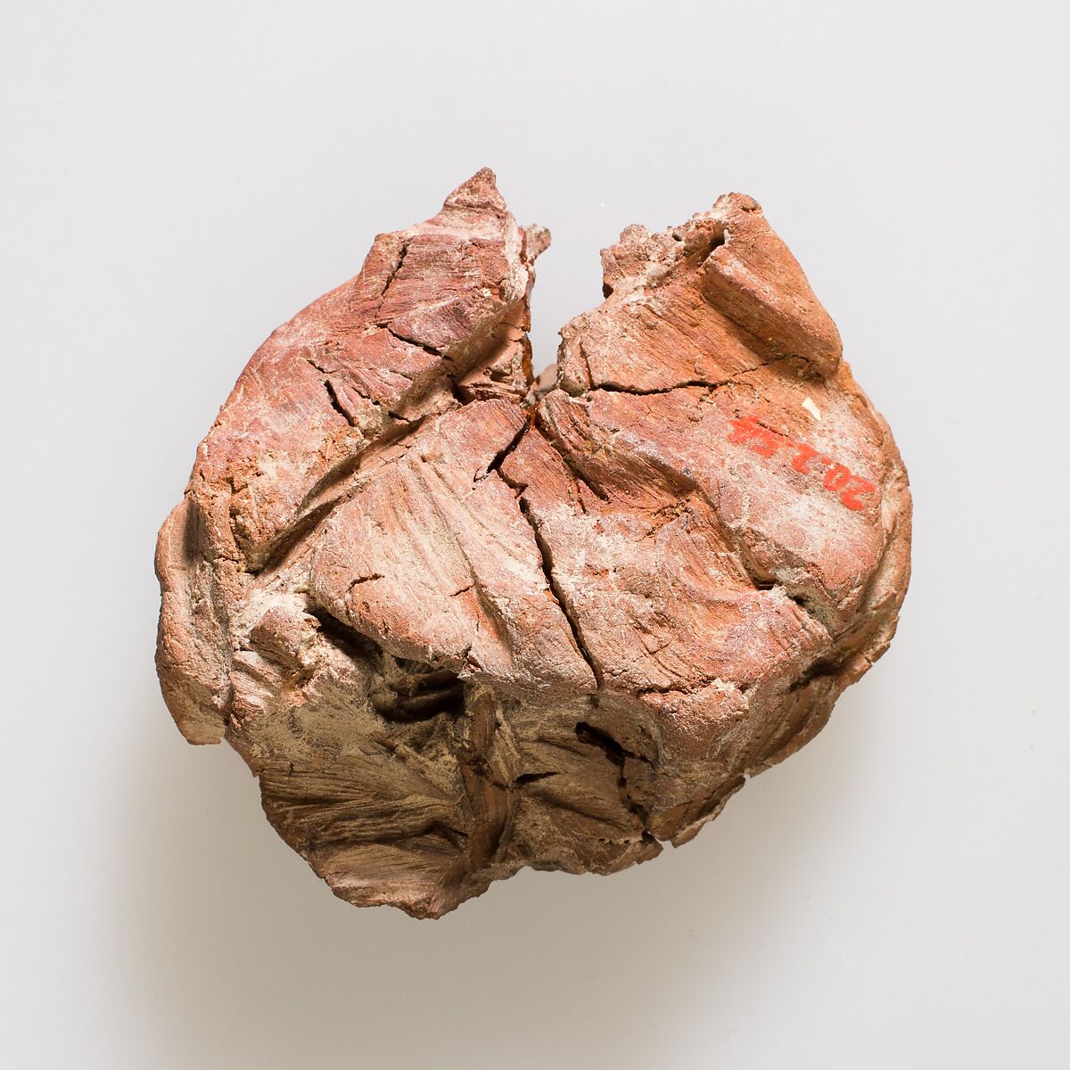 Jar sealing impressed with name of Queen Neithhotep, Clay (fired)