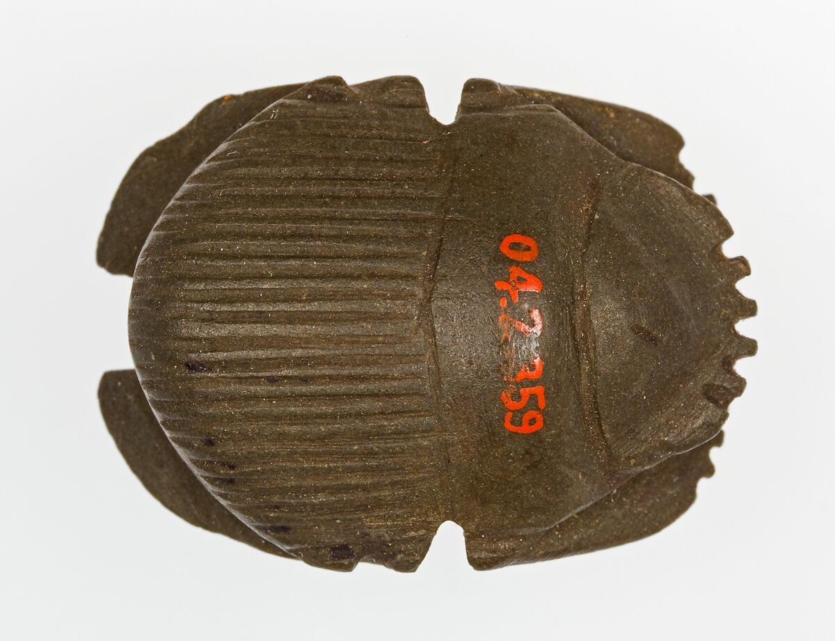 Uninscribed scarab, Greywacke (?), slate (?) 