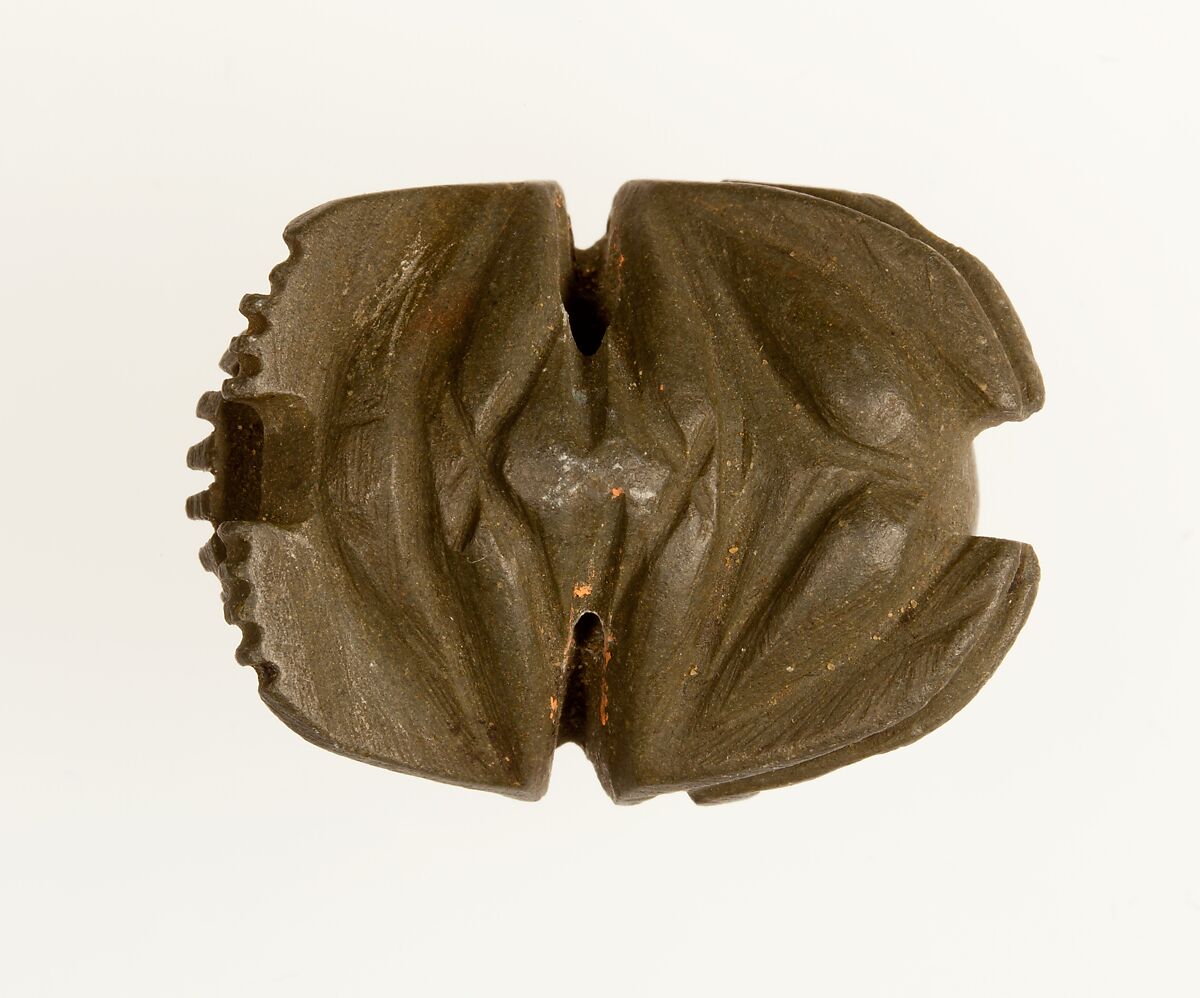 Uninscribed scarab, Greywacke (?), slate (?)