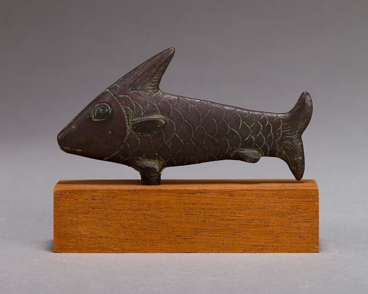 Lepidotus fish, Cupreous metal