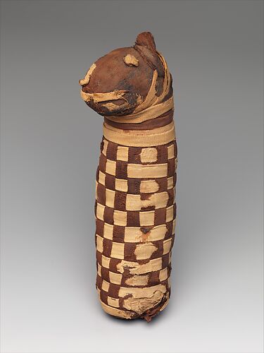 Sacred animal mummy containing dog bones