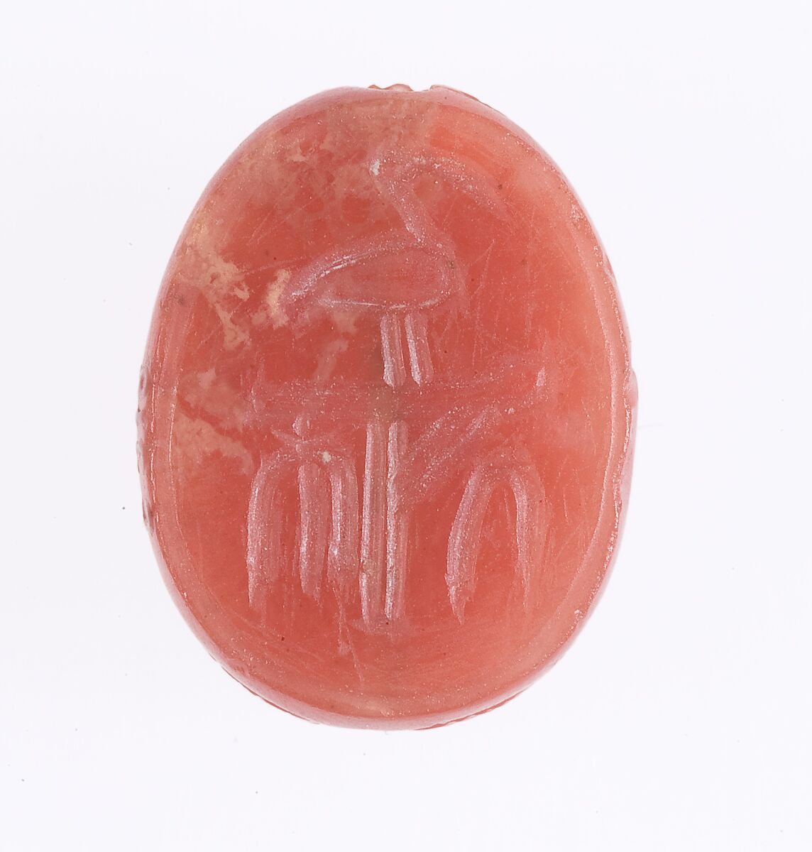 Scarab, Carnelian or red jasper 