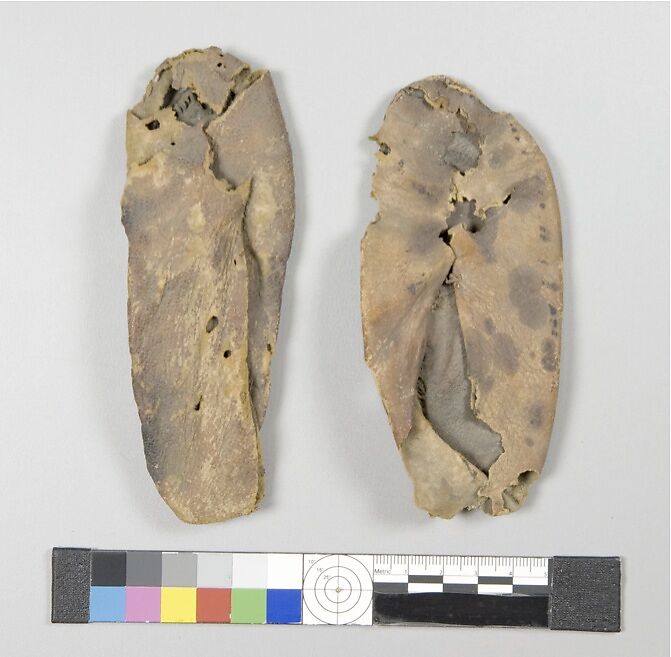 Pair of Child's Slippers, Leather (goatskin); pigments