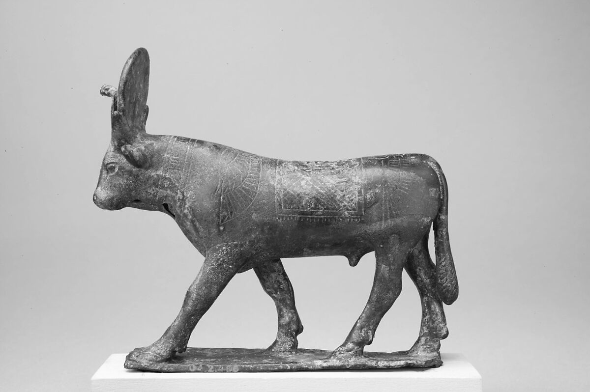 Apis, Cupreous metal