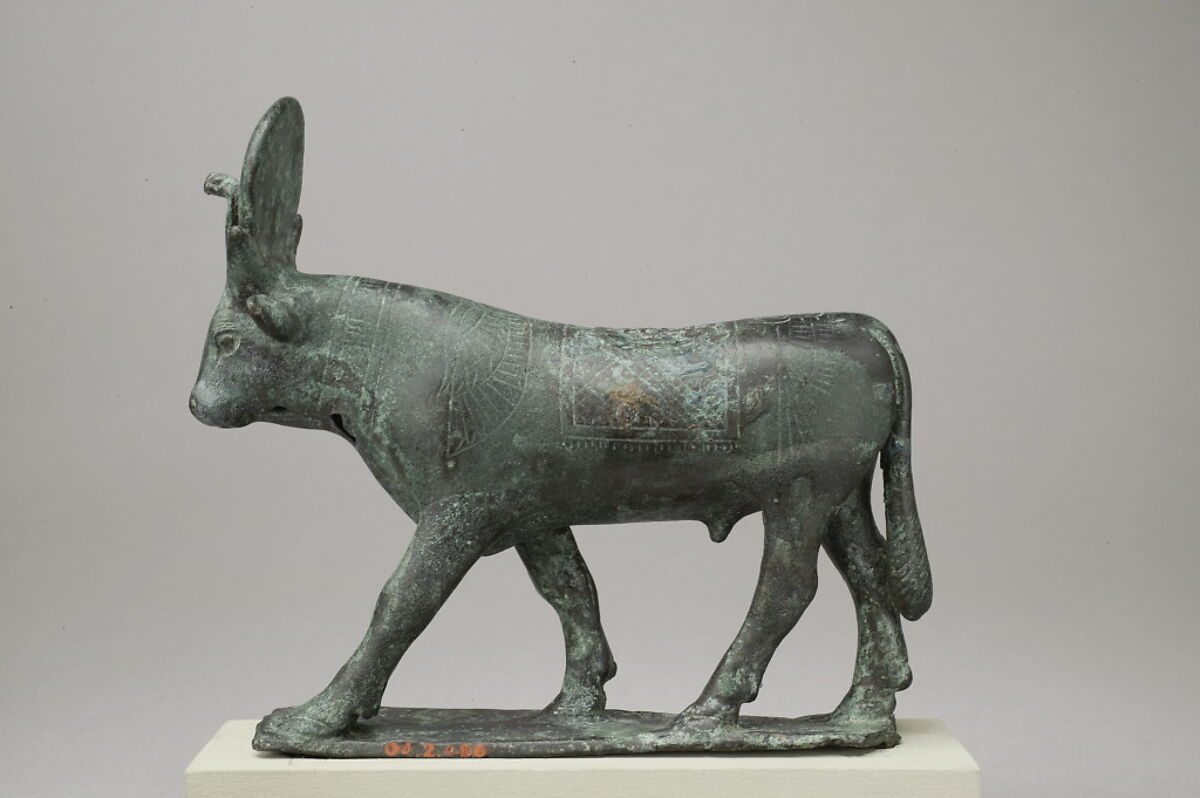 Apis, Cupreous metal