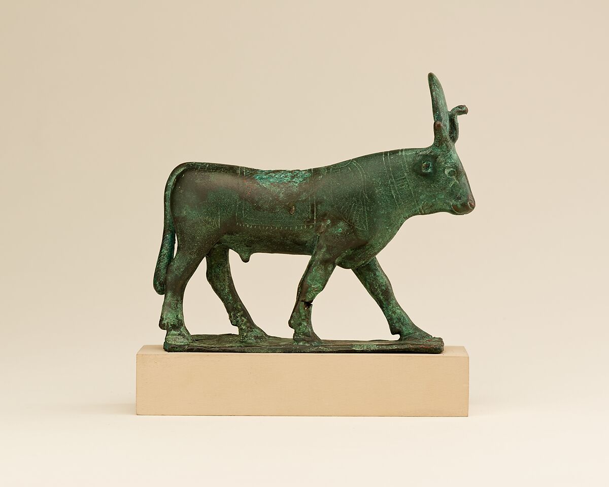 Apis, Cupreous metal