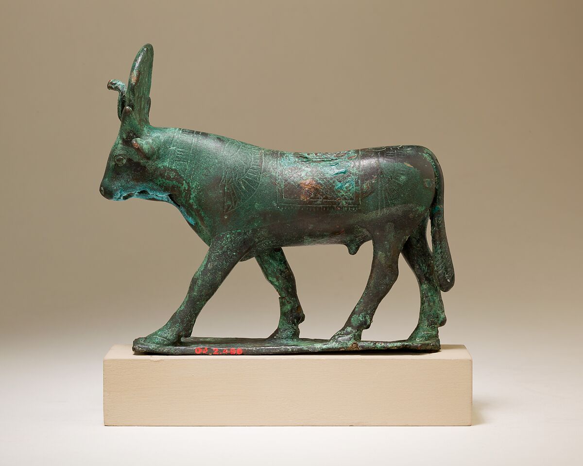 Apis, Cupreous metal