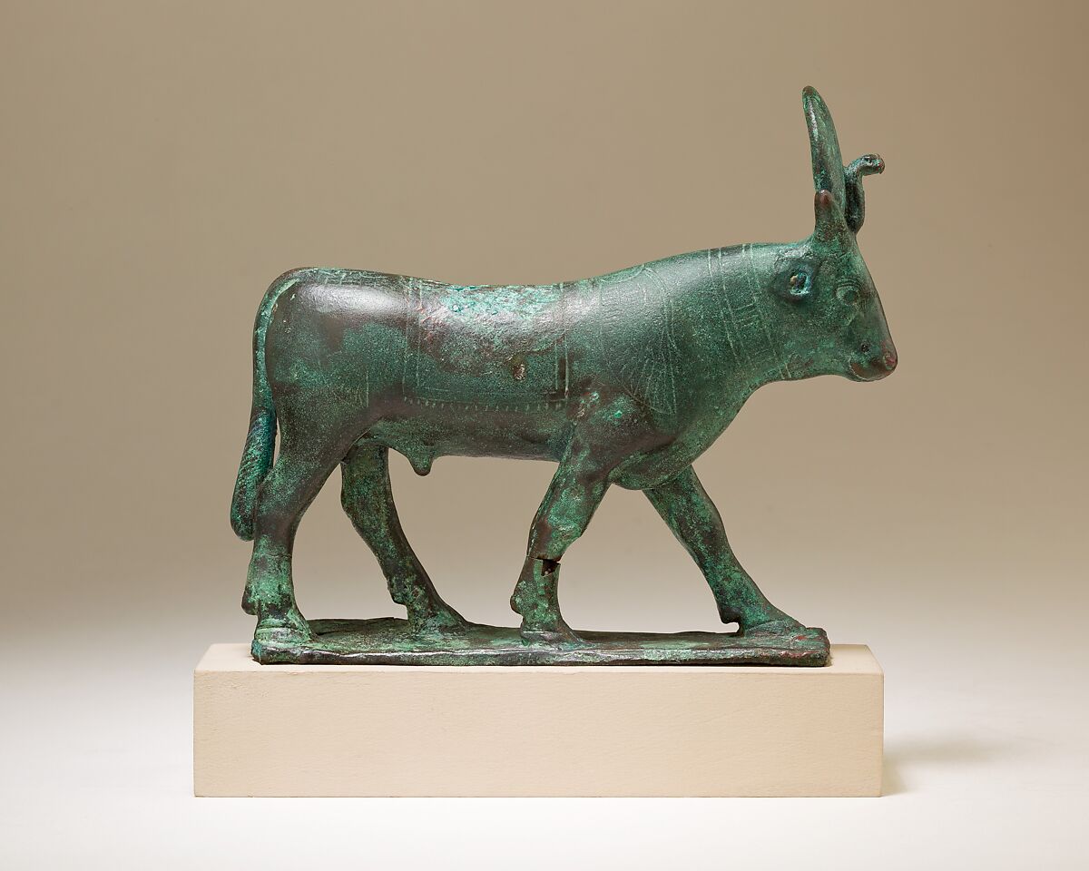 Apis, Cupreous metal