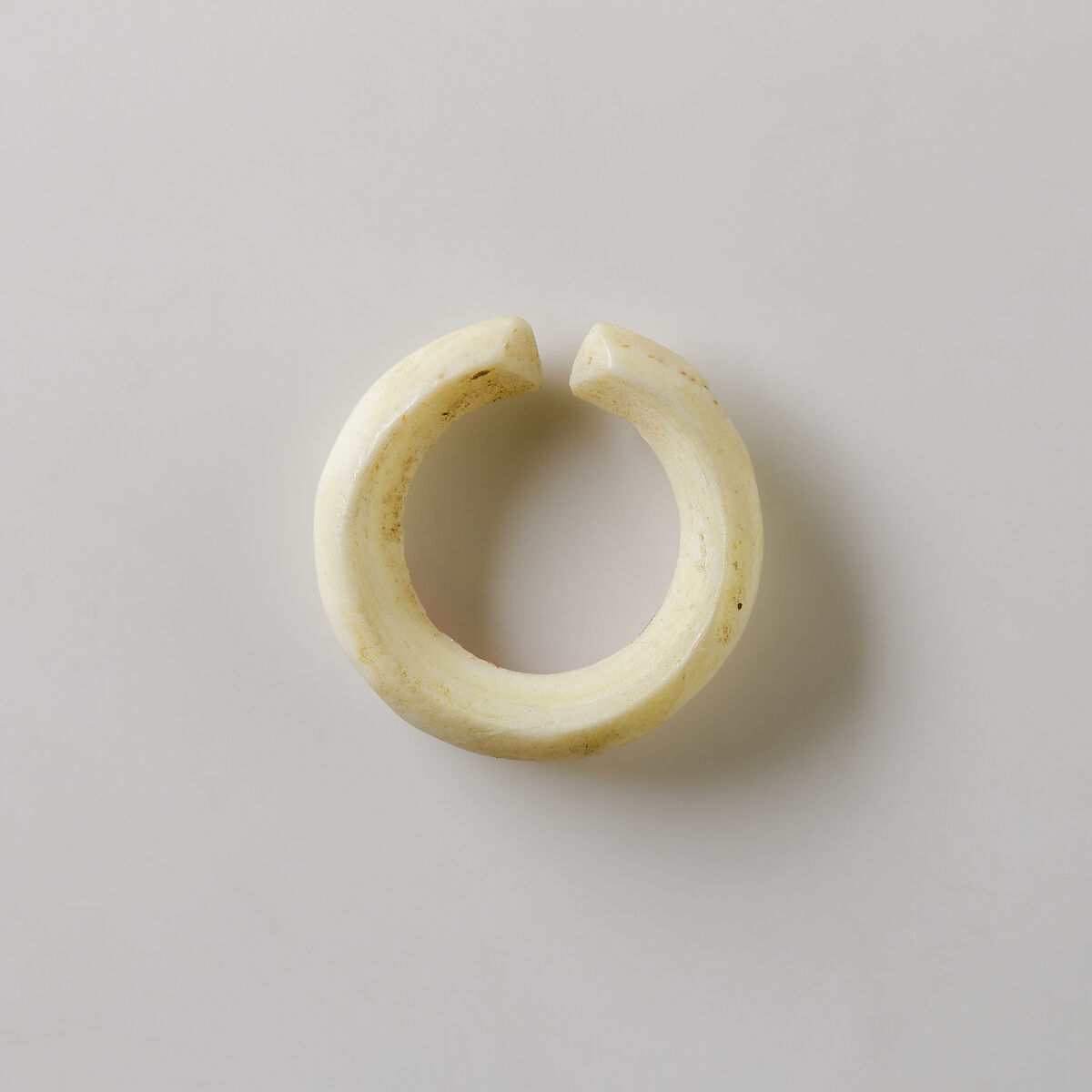 Hair ring, Shell 