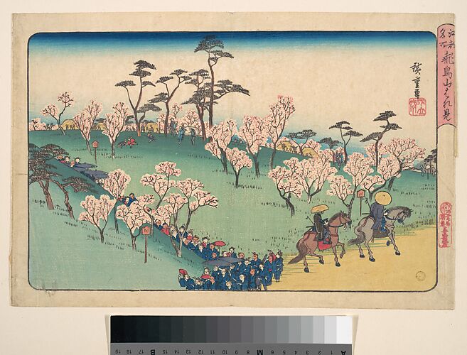 Asukayama Hanami