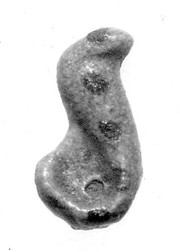 Cobra amulet