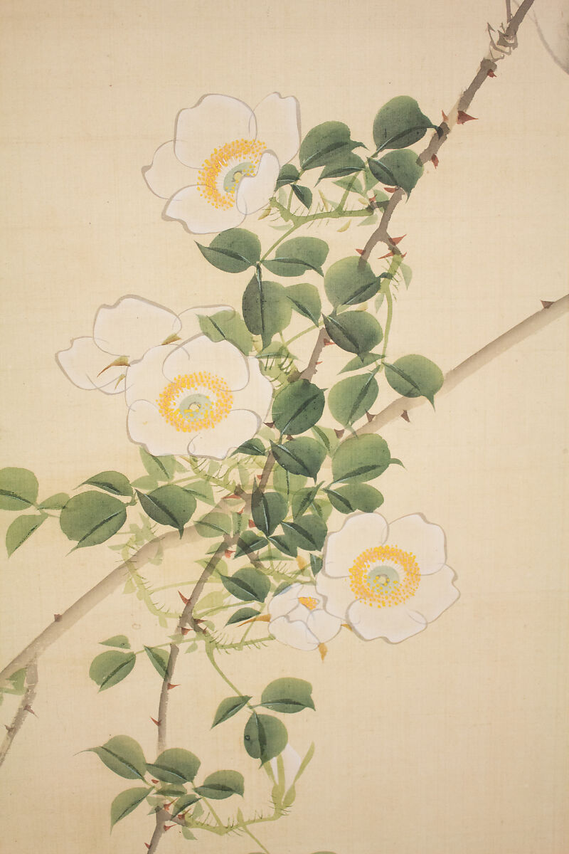 Roses and Field Sparrow (?), Attributed to Hasegawa Gyokuhō (Japanese, 1822–1879), Hanging scroll; ink and color on silk, Japan