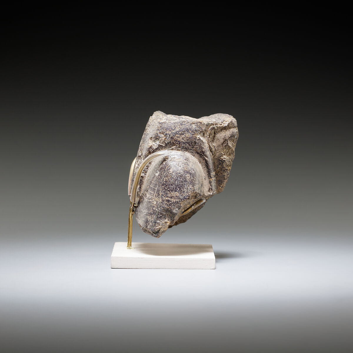 Statue fragment, Steatite