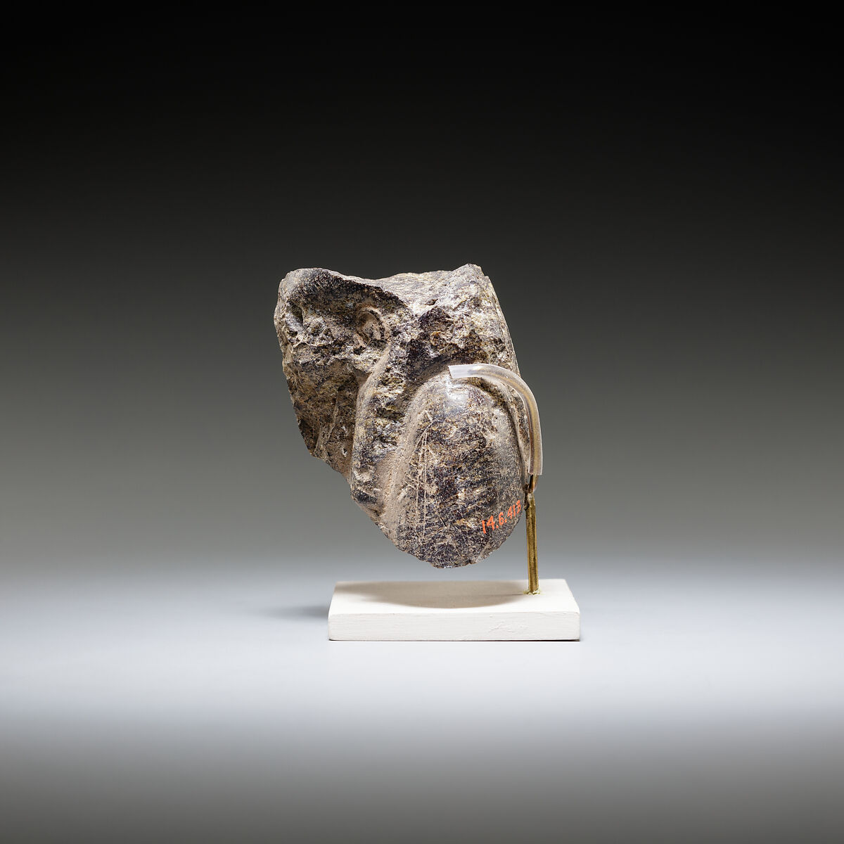 Statue fragment, Steatite