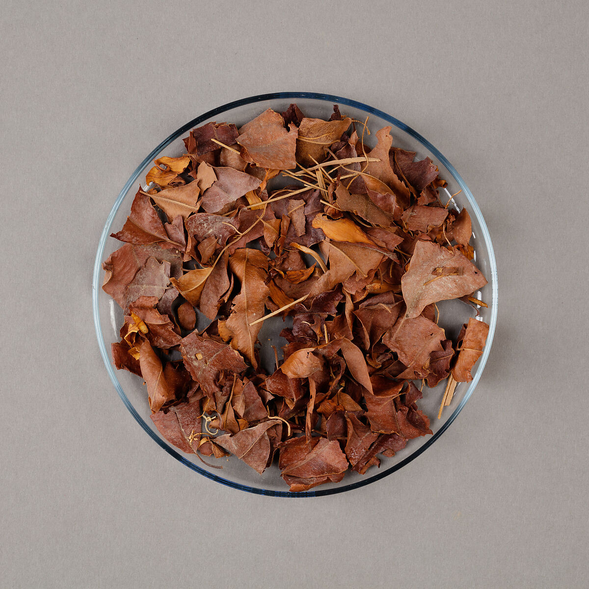 Floral Garland Fragments, Persea leaves, lotus petals, palm leaves 