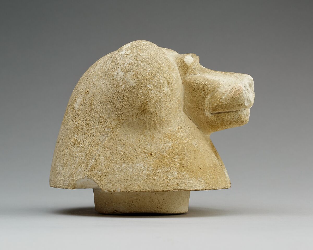 Canopic jar lid with head of a baboon (Hapy), Limestone