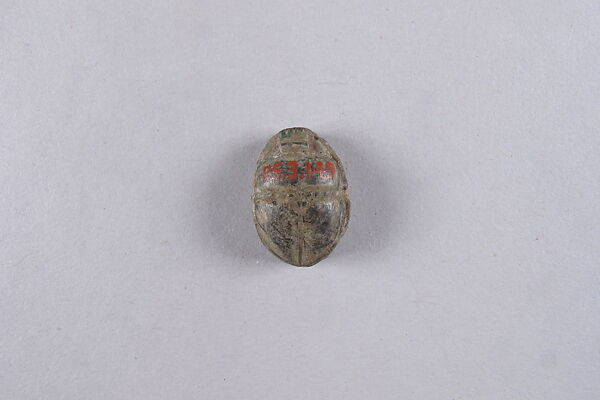 Scarab with Hieroglyphs and Flowers, Steatite