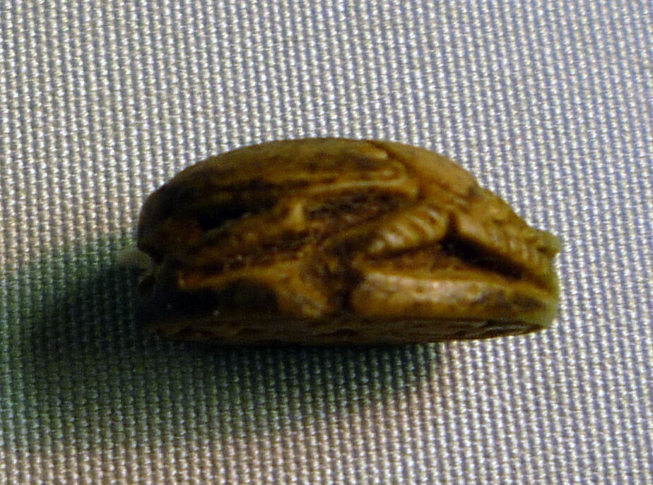 Scarab, Faience