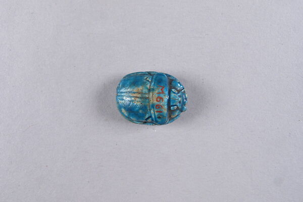 Scarab with a Fish and Plants, Glazed steatite
