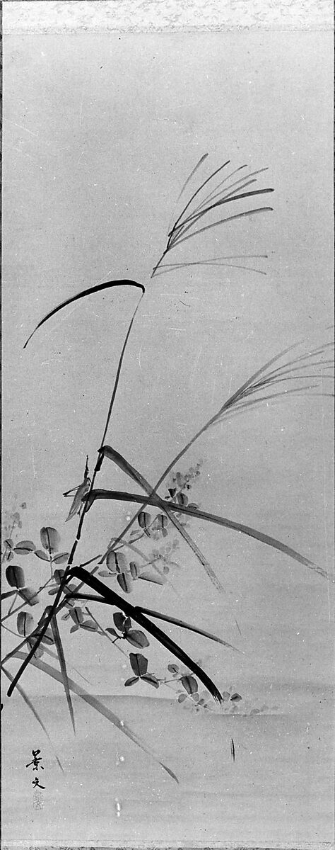Bush Clover, Grass and Cricket, Attributed to Matsumura Keibun (Japanese, 1779–1843), Hanging scroll; color on paper, Japan 