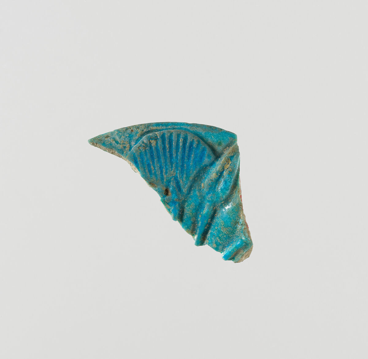 Rim of chalice foot decorated with papyrus, Faience 