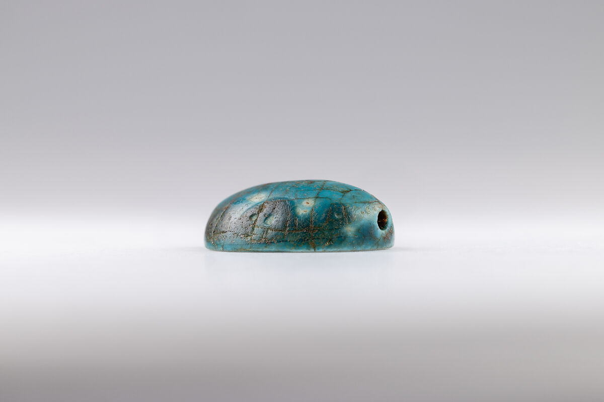 Cowroid, Hatshepsut, Glazed steatite