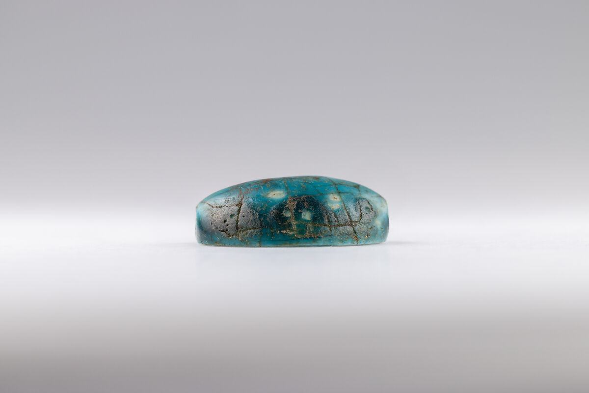 Cowroid, Hatshepsut, Glazed steatite