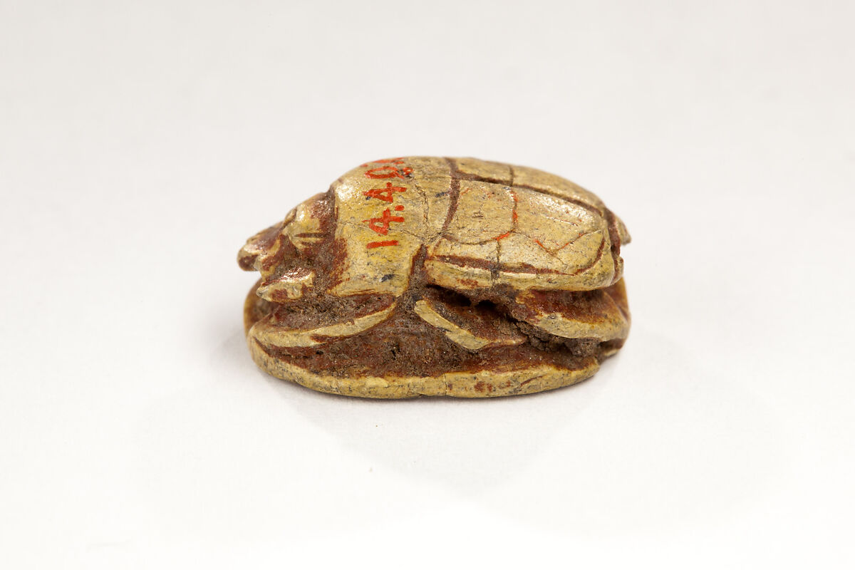 Scarab Inscribed for an Unknown Queen Wy, Steatite, glazed ?