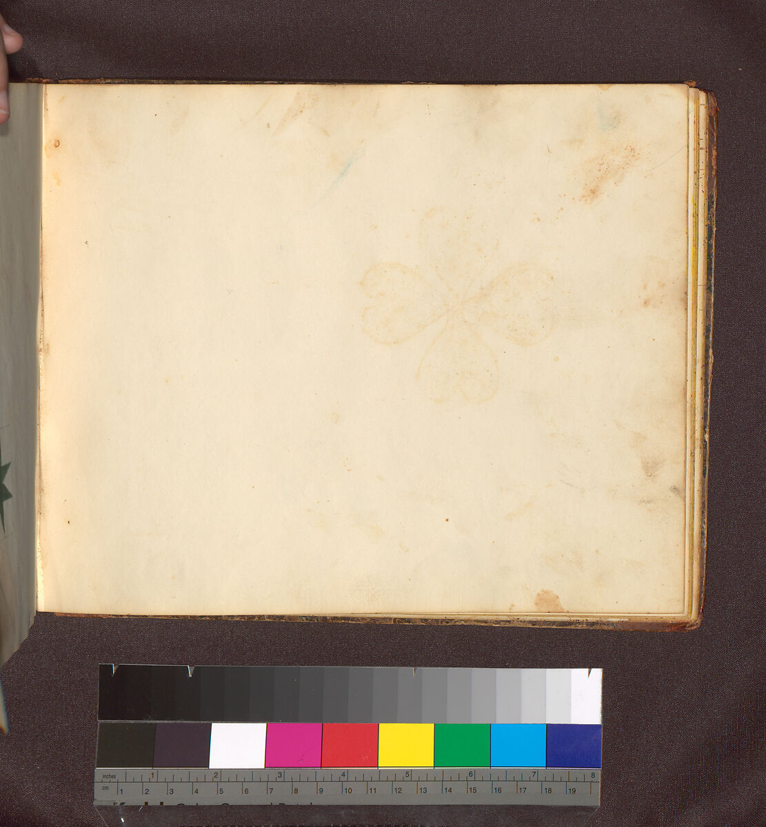 Pattern Book, Paper, American