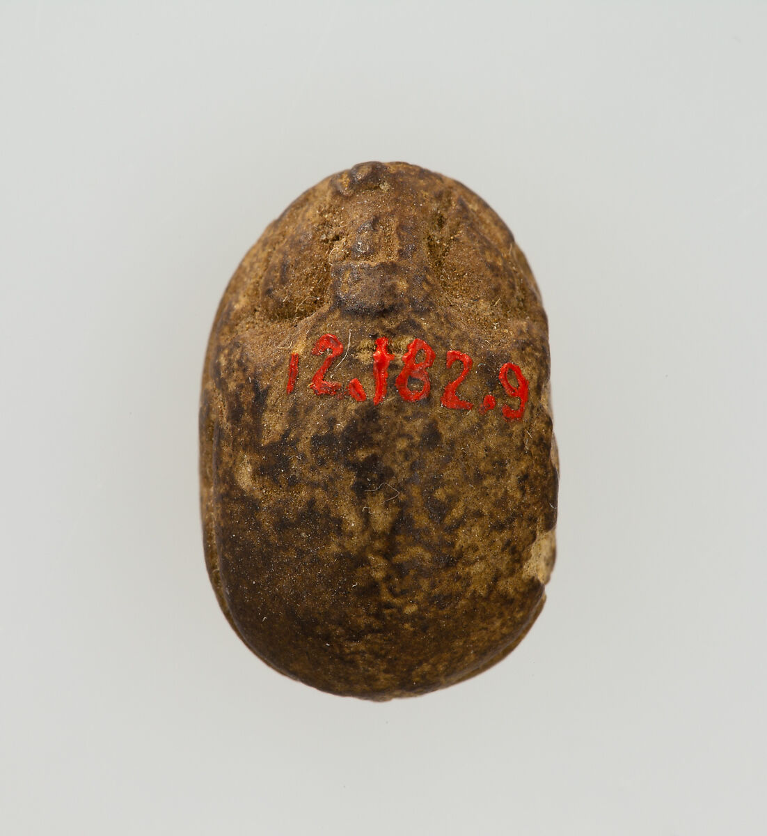 Scarab Inscribed for the Principal Queen Ahmose(-Nefertari), Steatite