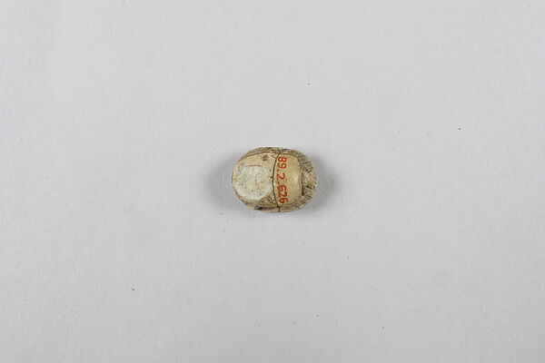 Scarab with hare on underside, Steatite